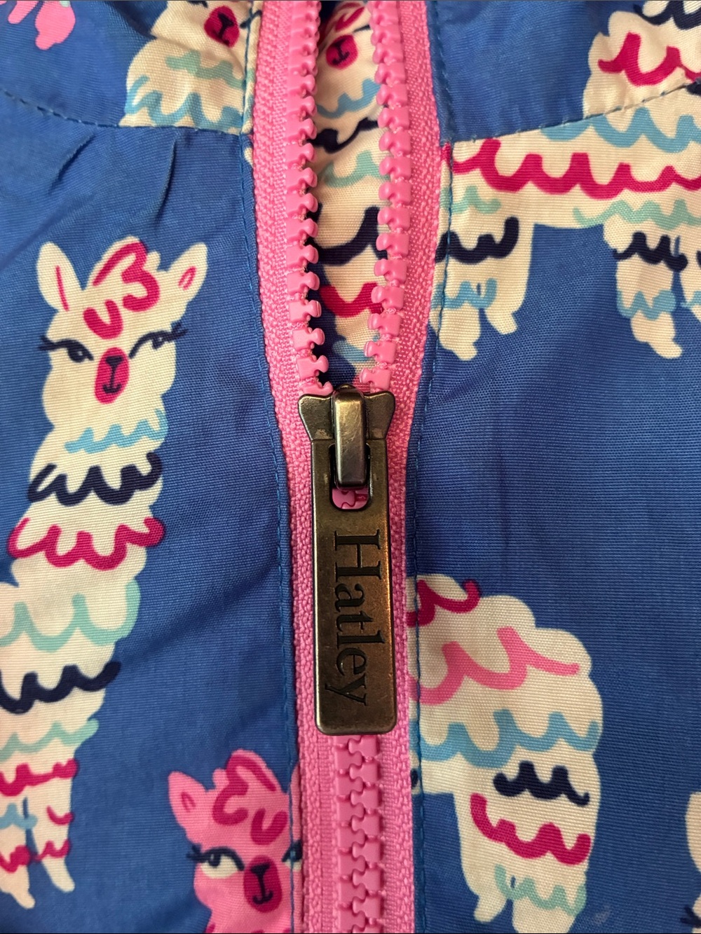 Hatley Pink Lined Kids' Hooded Jacket with Blue Trim - Picture 3 of 12